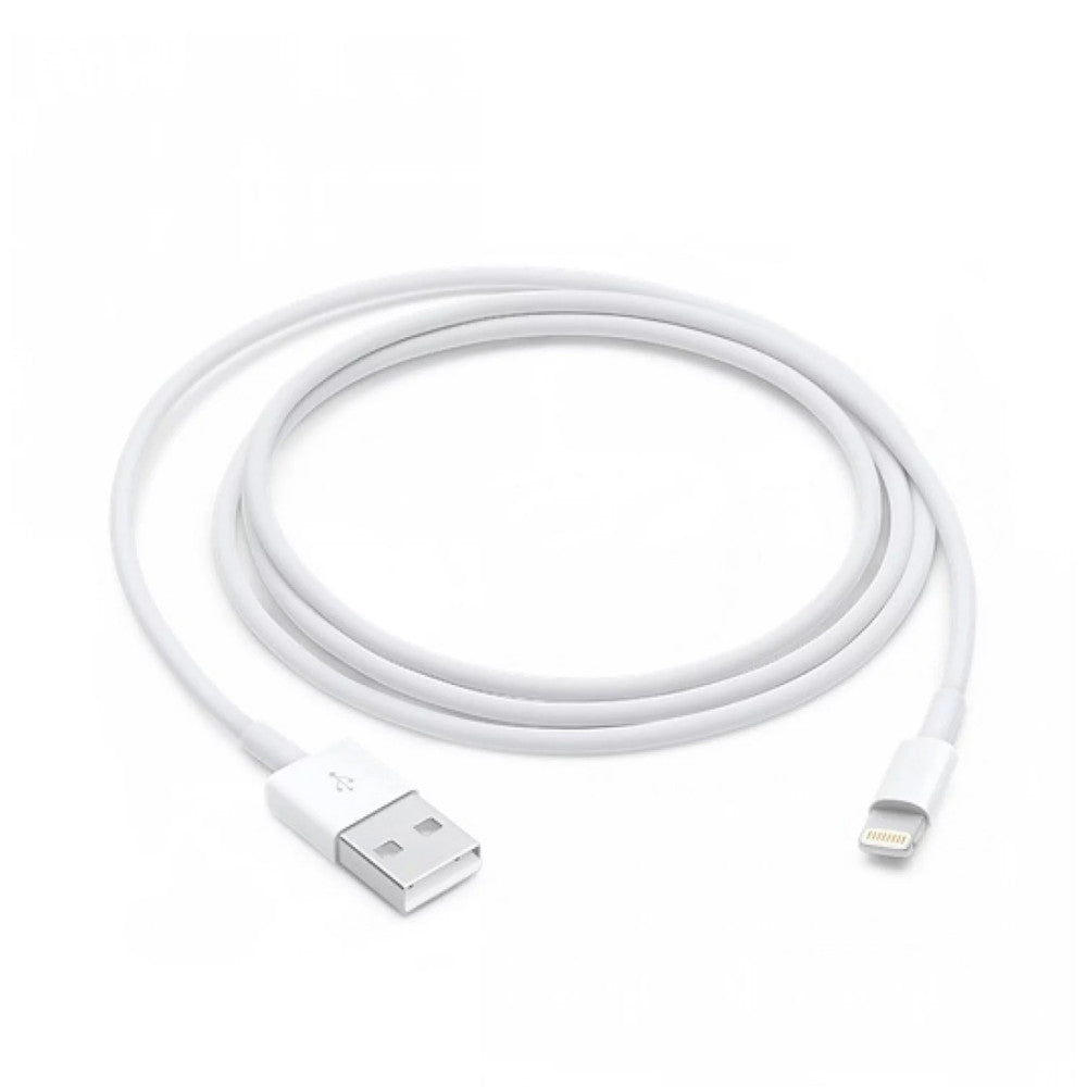 USB-A to Lightning Cable (1m)